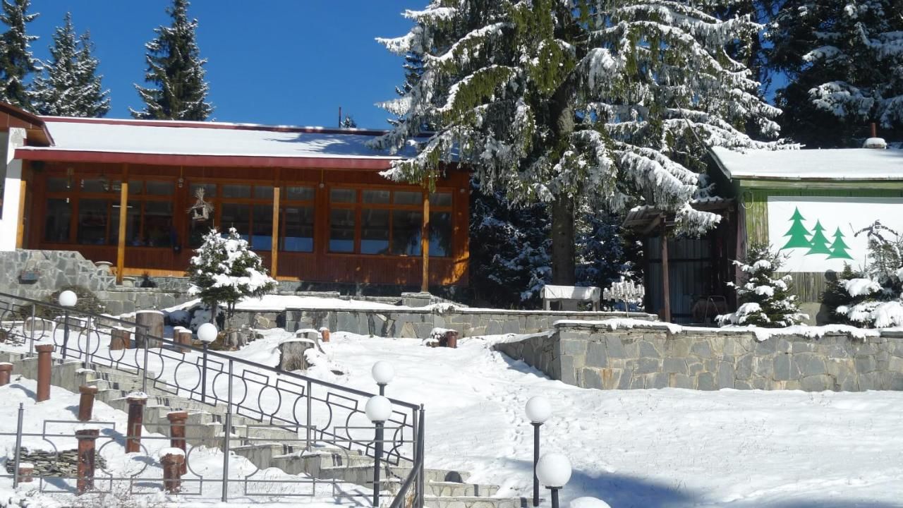 Отель Hotel Elitza Пампорово-36
