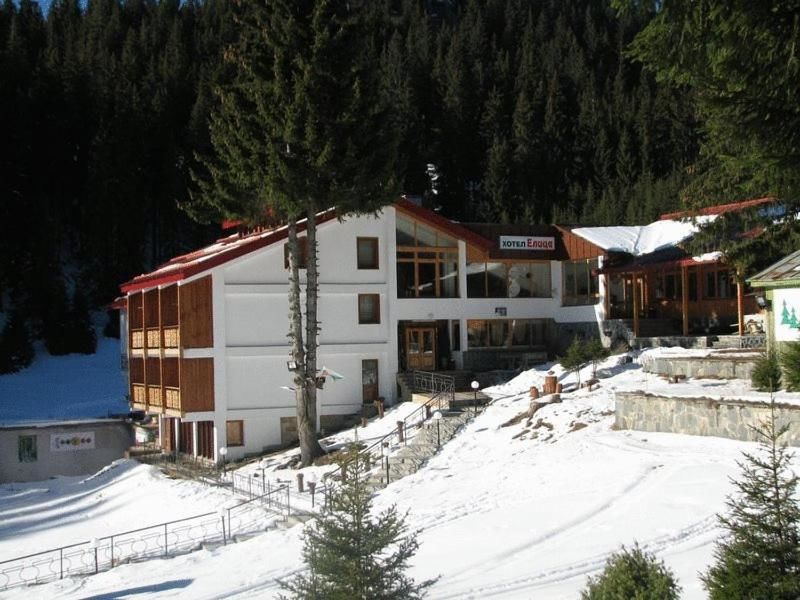 Отель Hotel Elitza Пампорово-42